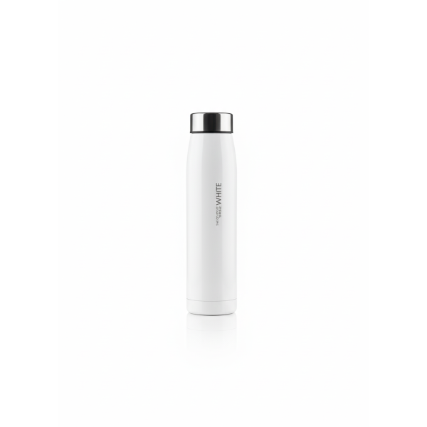 THERMOS R43 INOXYDABLE 320ML
